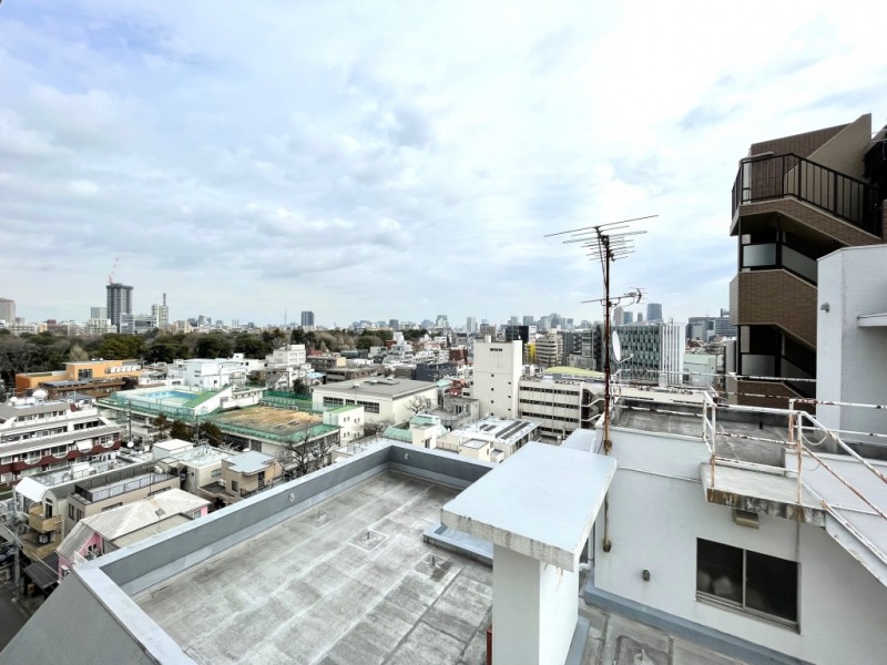 【LDK側からの眺望】前面には小学校や低い建物が多く、新宿御苑の豊かな緑が広がり、遠くの街まで望めます。
