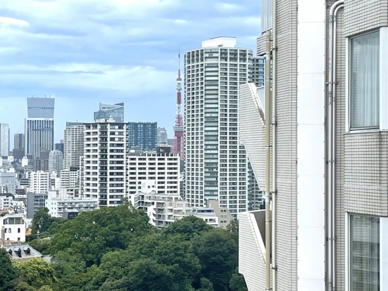 【洋室3からの眺望】東京タワーも遠望できます。
