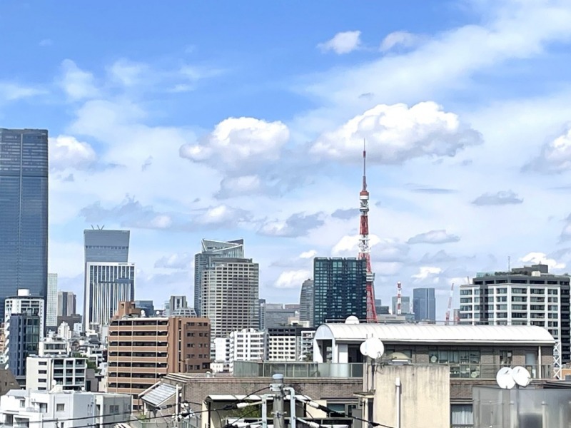 【キッチン側ルーフバルコニーからの眺望】東京タワーも望める眺望です。