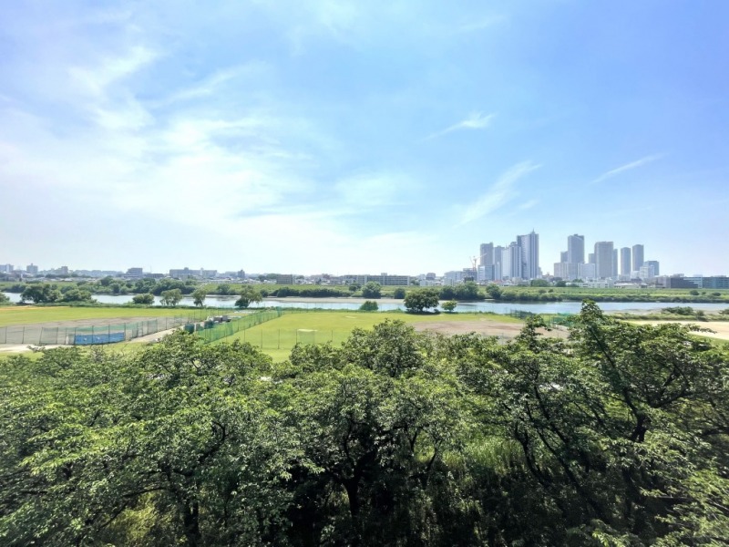 【LDK側バルコニーからの眺望】眼前には多摩川が流れ、視線を遮るようなものは何もなく開放的な眺望が広がります。奥には武蔵小杉のタワーマンション群、春には多摩川沿いに咲く桜も望めます。緑と水と空が広がる開けた爽快な眺望です。