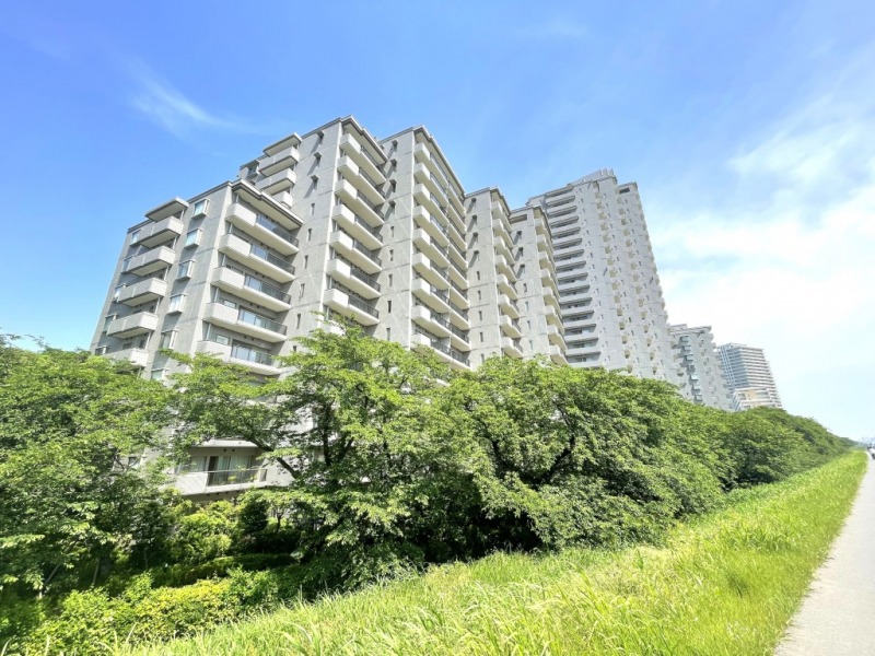 【外観】多摩川の桜並木沿いに佇む、緑と青空に映えるオフホワイトのタイル貼りのマンションです。1996年2月築、大成建設・竹中工務店・戸田建設・前田建設・熊谷組・三菱建設施工、三菱地所旧分譲の地下1階地上14階建、総戸数146戸(南弐番館86戸)のビッグコミュニティです。