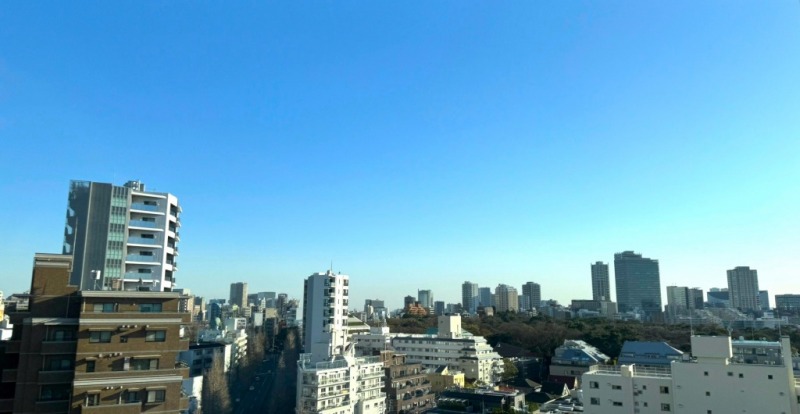 【住戸からの眺望】12階からは、広く遠くまで開けた爽快な眺望です。プラチナ通りもずっと奥まで抜けていて、国立科学博物館付属自然教育園の広がる緑も望めます。その奥には、目黒方面のビル群まで望めます。