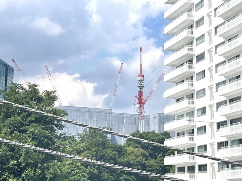 【洋室側バルコニーからの眺望】東京タワーも望める眺望です。