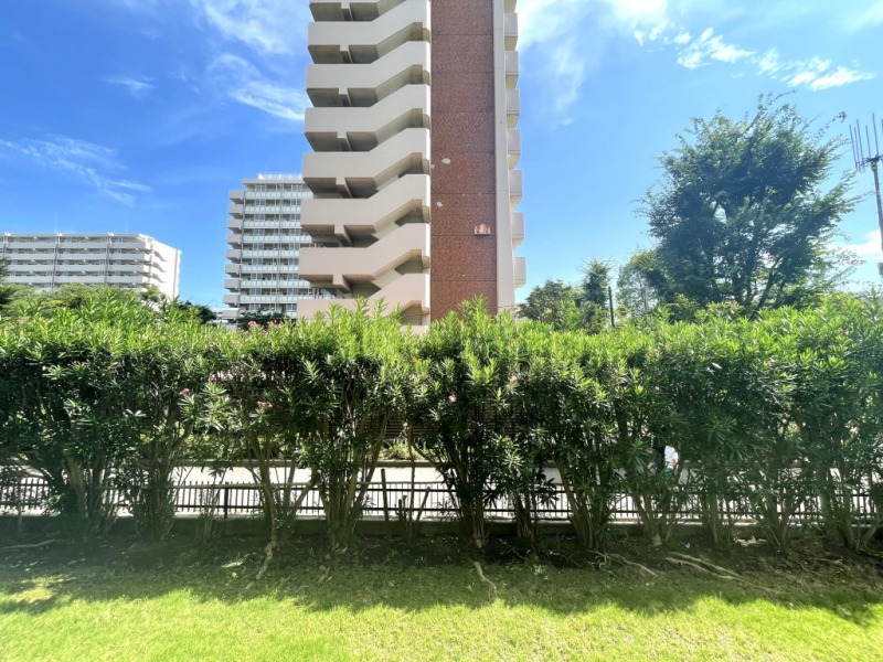 【バルコニーからの眺望】眼前は、敷地内の芝生や植栽が綺麗に整えられ、気持ちの良い眺めです。前面の建物までも距離が保たれ、開放感があります。