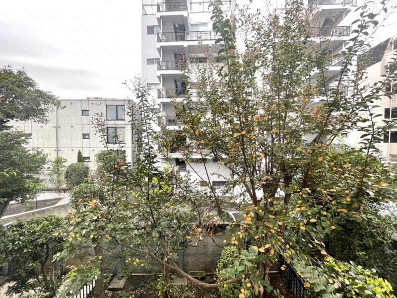 【住戸からの眺望】前面は敷地内の植栽に囲まれ、1階ながら周辺の視線も気になりません。広い空も仰げます。