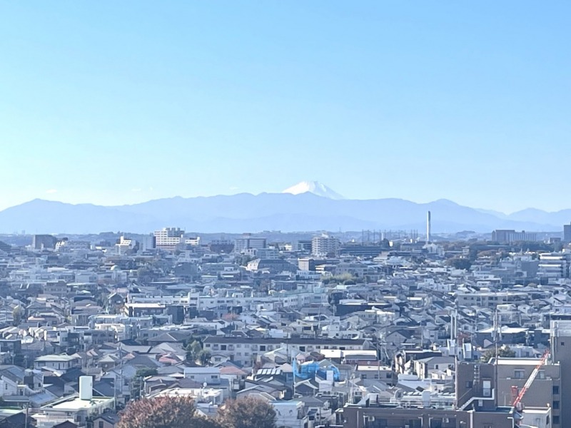 【住戸からの眺望】晴れた日には、富士山も遠望できます。