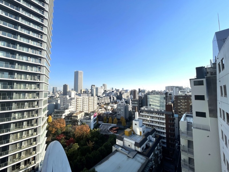 【住戸からの眺望】新宿方面が望め、都心らしい景色と眼下にはグリーンも感じられる眺望です。広い空も仰げます。