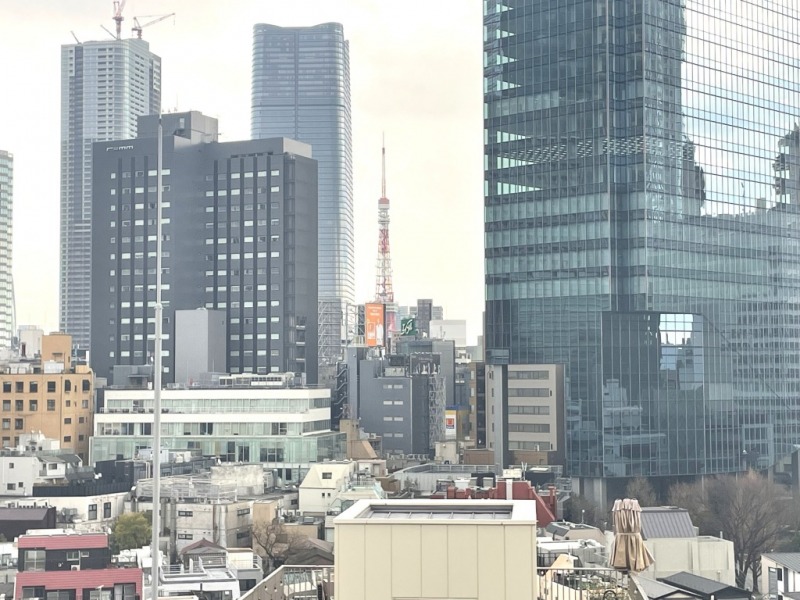 【住戸からの眺望】六本木のビルの間から東京タワーが望めます。