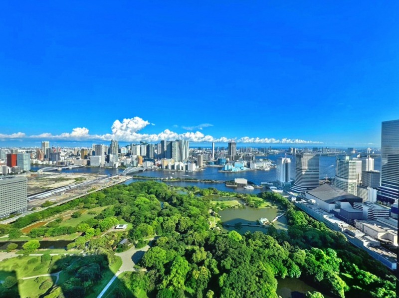 【住戸からの眺望】浜離宮やベイエリアが一望でき、東京湾の広がりも感じられる爽快な眺望です。都心の緑と水辺と広い空が融合した壮観な景色を手中に収めることができます。