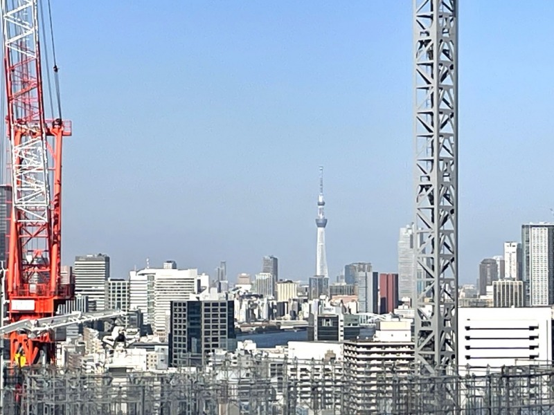 【住戸からの眺望】東京スカイツリーも綺麗に望めます。(晴天時)