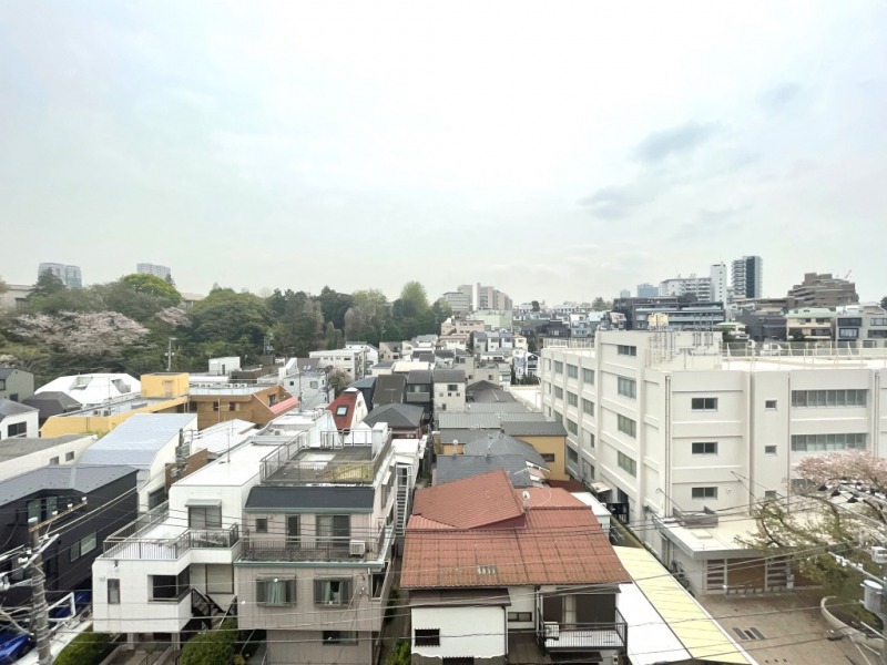 【住戸からの眺望】眼下は低層の建物が多く開放感があり、春には桜も望める眺望です。抜け感もあり空も広く仰げます。