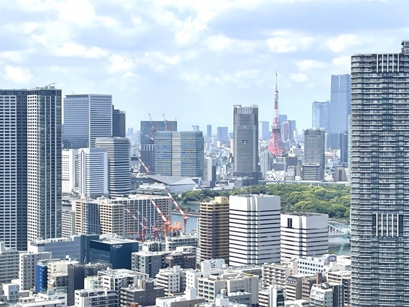 【住戸からの眺望】東京タワーも遠望できます。