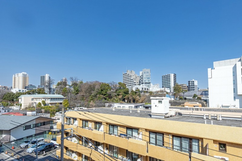 【住戸からの眺望】周辺は低層の建物が多く開放感があり、奥にはタイ大使館のグリーンを借景とし、広い空も仰げる眺望です。