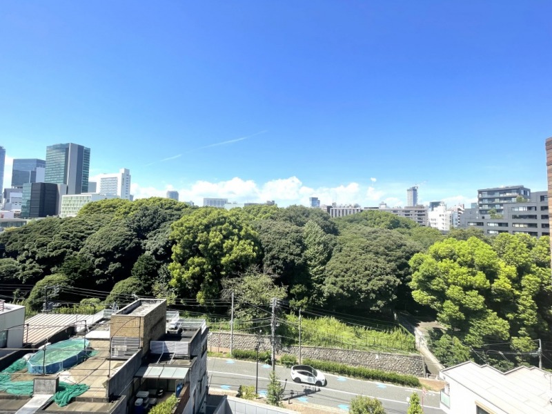 【住戸からの眺望】「常盤松御用邸」のグリーンと、広い空のブルーのコントラストが美しい爽快な眺望です。