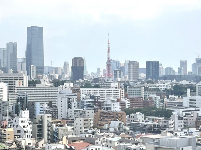 【住戸からの眺望】東京タワーをアクセントに港区を一望でき、高層ビルが立ち並ぶ都心部の壮観な景色を手中に収めることができます。