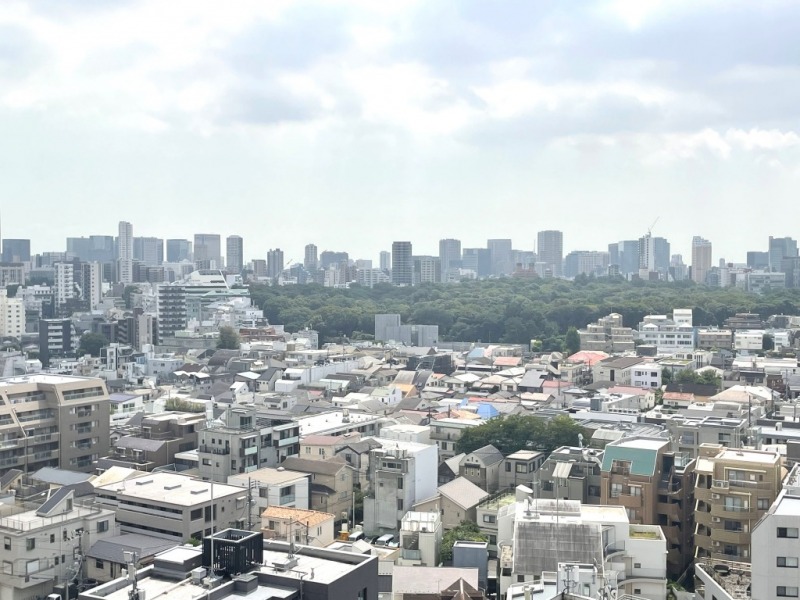 【住戸からの眺望】「国立科学博物館付属自然教育園」の緑が広がり、都会的な風景の中にも緑と広い空が融合した爽快な眺望です。