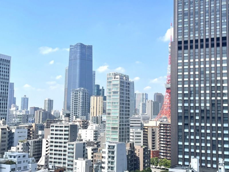 【住戸からの眺望】東京タワーや麻布台ヒルズなどシンボリック的な建物も近くで望めます。