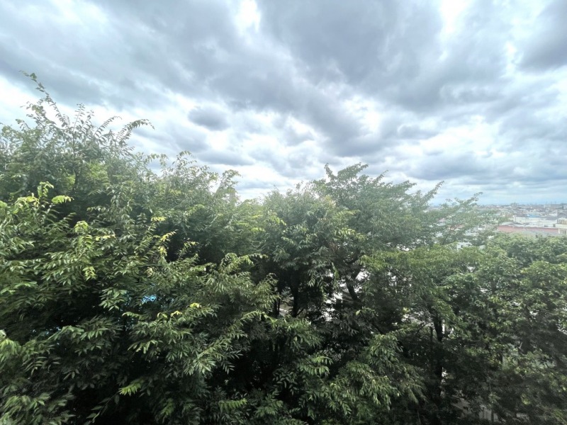 【住戸からの眺望】敷地内の豊かなグリーンが広がり、空も広く仰げ、自然溢れる眺望です。