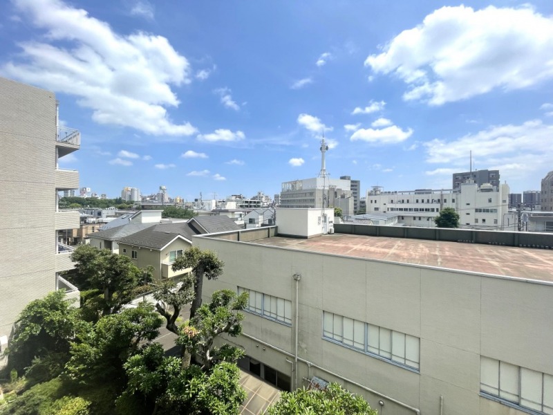 【住戸からの眺望】周辺は高層の建物がなくグリーンも覗き、抜け感もあり、広い空も仰げる眺望です。