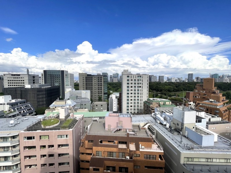 【住戸からの眺望】都会的なビルが並ぶ風景の中にも「千鳥ヶ淵公園」や「皇居」の緑もあり、広い空も仰げる爽快な眺望です。