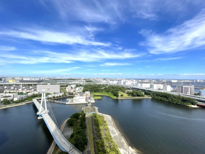 【住戸からの眺望】緑と水辺の潤いを感じながら広い空を仰げる、都心ベイエリア＆タワーマンション高層階ならではの爽快感のあるパノラマビューです。辰巳の街が一望できます。東京ディズニーリゾートの花火が遠望可能です。