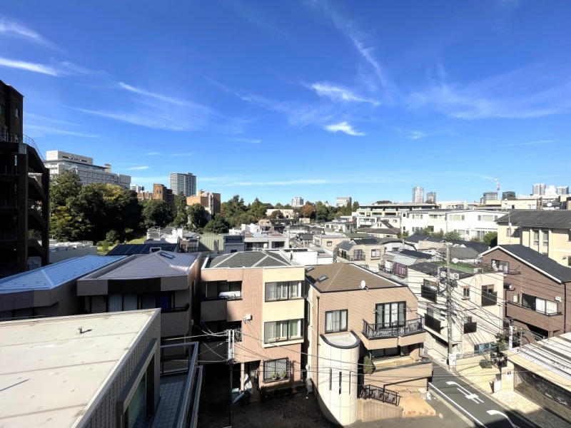 【住戸からの眺望】周辺は低層の建物が多く開放感があり、緑も豊かで広い空も仰げる眺望です。