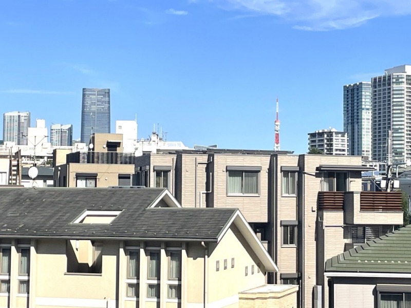 【住戸からの眺望】東京タワーも遠望できます。