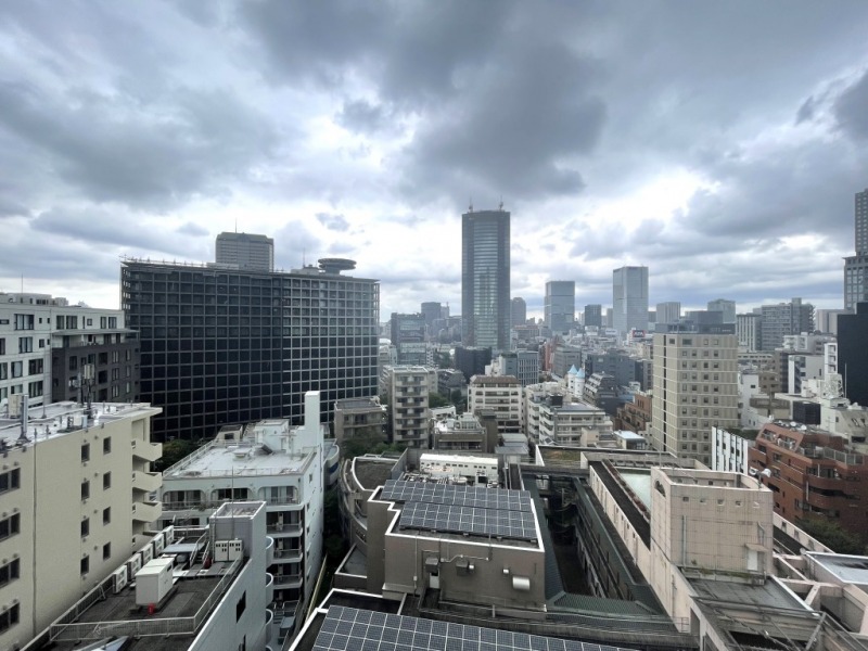 【住戸からの眺望】眼下は低層の建物が多く、開放感があります。奥には赤坂方面の街並みが一望できます。都心に居ながら、広い空も仰げる眺望です。
