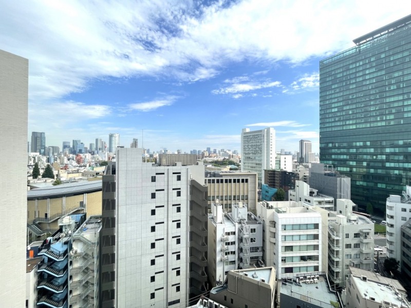 【住戸からの眺望】都会的な風景ですが、抜けや開放感もあり、空も広く仰げ、空色の移ろいも感じられる眺望です。