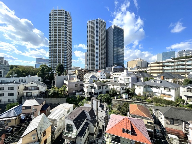 【住戸からの眺望】都会的な高層ビルが並ぶ風景の中にも戸建てや緑があり、広い空とそんな景色が融合した壮観な眺望です。