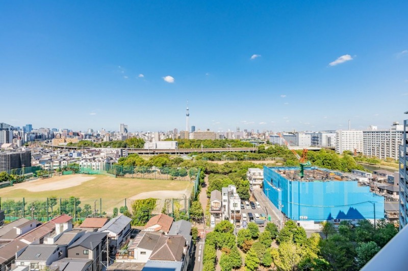 【住戸からの眺望】眼下には、「亀戸中央公園」のグリーンが広がり、空も広く仰げる開放感溢れる爽快な眺望です。