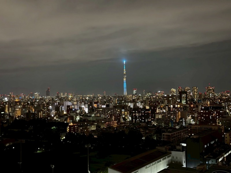 【住戸からの眺望】夜景は、一面に広がる街の明かりが水面に映り風に揺れ、東京スカイツリーも一層美しく煌びやかな眺望が広がります。
