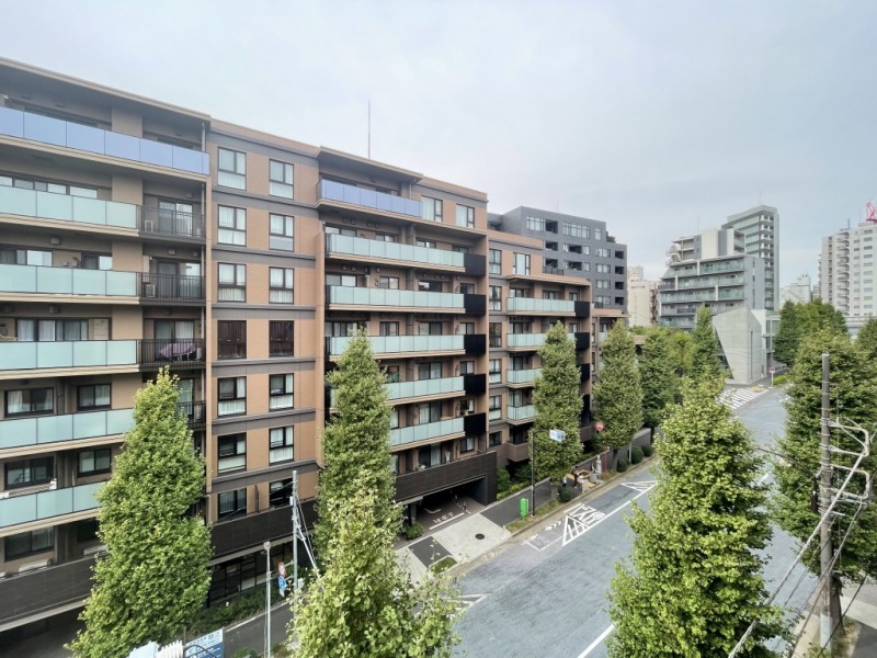 【住戸からの眺望】街路樹が綺麗に並び、都会的な風景の中にも緑と広い空が融合した眺望です。