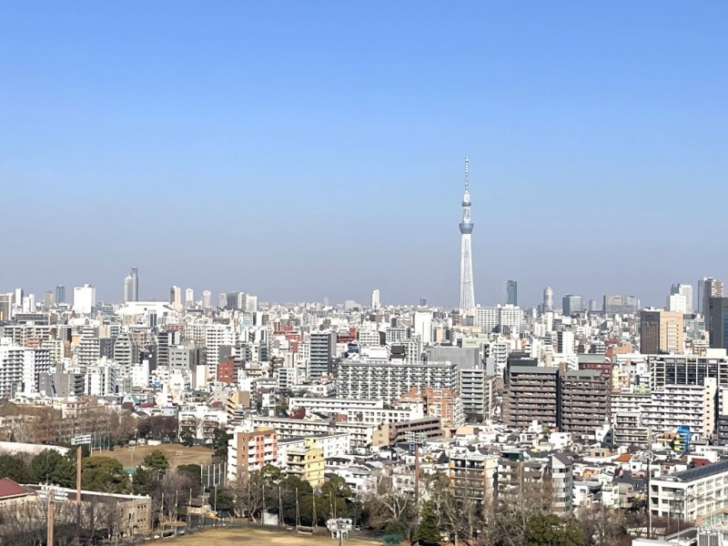 【住戸からの眺望】北側には、東京スカイツリーが遠望できます。