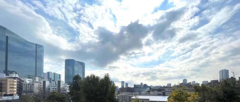 【住戸からの眺望】都会的な風景の中にも開放感があり、緑と広い空が融合した爽快な眺望です。