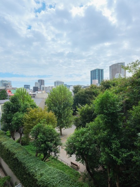 【住戸からの眺望】眼下には「狸穴公園」の緑が広がり、奥には都会的な風景と空が融合した爽快な眺望です。