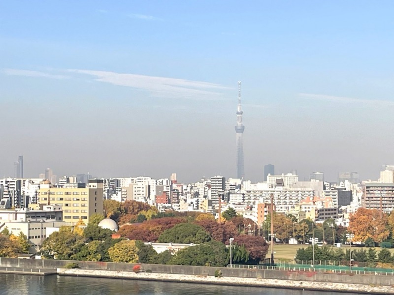 【共用部玄関からの眺望】東京スカイツリーが遠望できます。