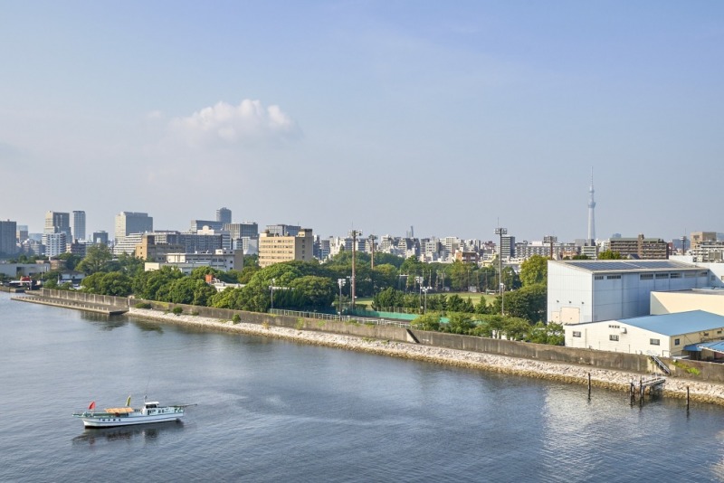 【住戸からの眺望】北側の越中島奥には、東京スカイツリーも望めます。