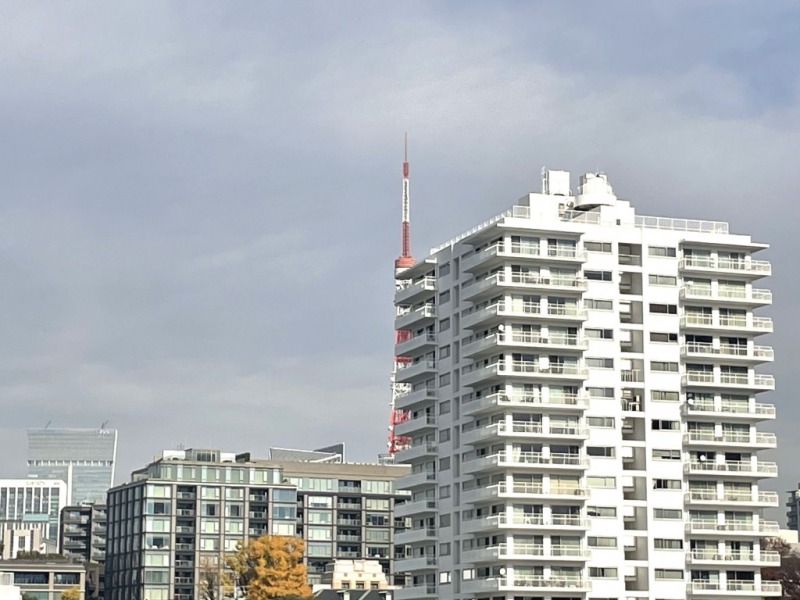 【住戸からの眺望】奥には東京タワーも望めます。