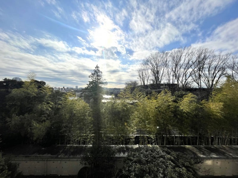 【住戸からの眺望】広い空と緑豊かな癒される眺望です。外部からの視線も感じにくく、プライベート空間で至福のひとときを満喫できます。