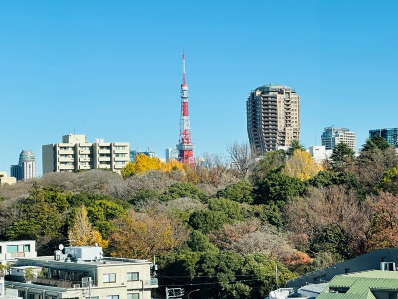 【住戸からの眺望】「有栖川記念公園」のグリーンが広がる奥に「東京タワー」がアクセントとなった壮観な景色を手中に収めることができます。空も広く緑豊かな季節の移ろいを感じられる眺望です。