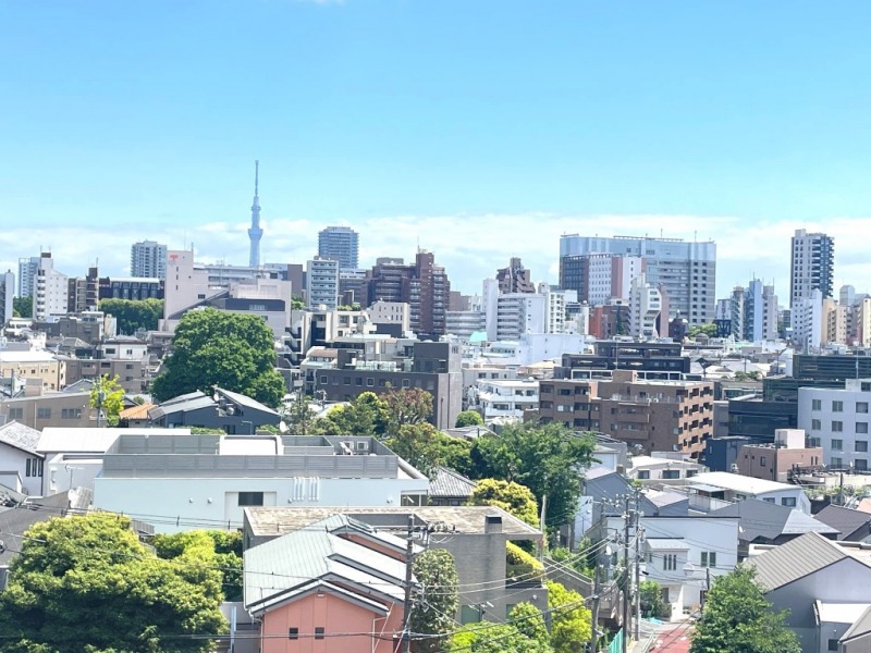 【住戸からの眺望】東京スカイツリーも遠望できます。