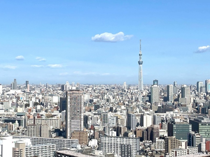 【住戸からの眺望】東京スカイツリーが眺望のアクセントとなっています。