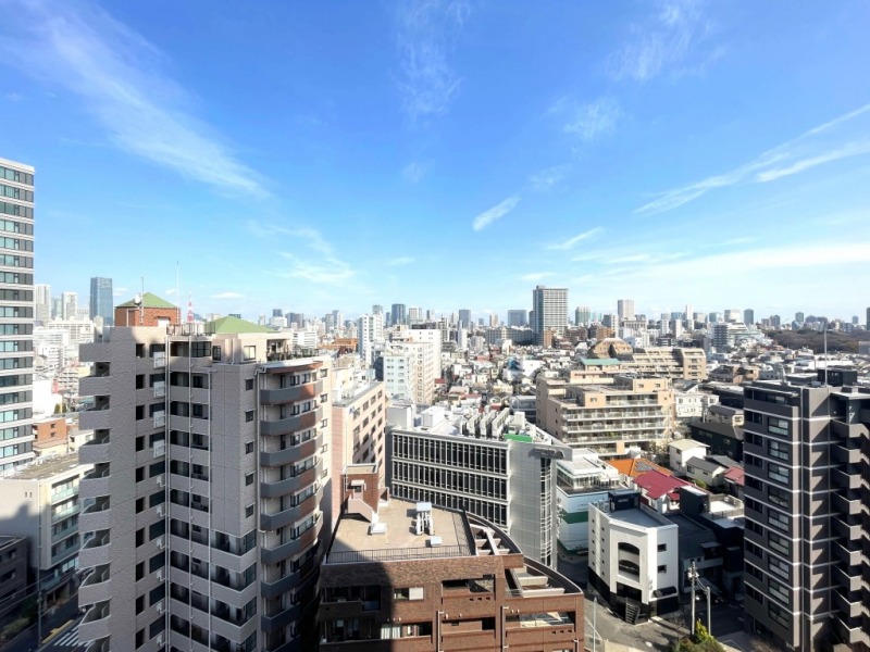 【住戸からの眺望】都会的な高層ビルが建ち並ぶ風景ながら、周辺は視線より高い建物も少なく広い空も仰げる開放感のある眺望です。