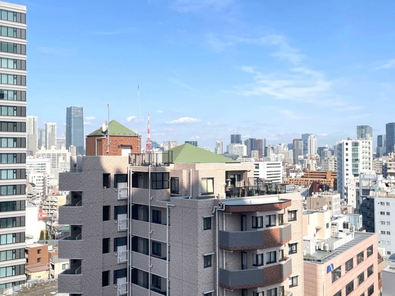 【住戸からの眺望】東京タワーも遠望できます。
