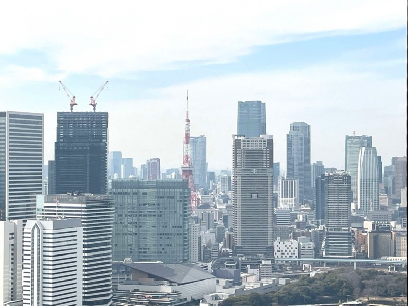 【住戸からの眺望】こちら側は東京タワーが遠望できます。