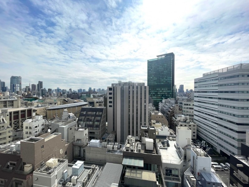 【住戸からの眺望】都会的な高層ビルが建ち並ぶ風景ですが、周辺は視線より高い建物も少なく広い空も仰げる開放感のある眺望です。