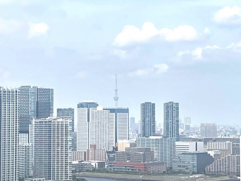 【住戸からの眺望】東京スカイツリーも遠望できます。
