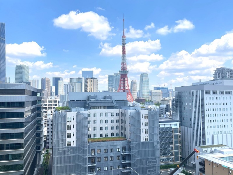 【住戸からの眺望】東京タワーも徒歩圏の距離なので、自邸からも大きく望めます。