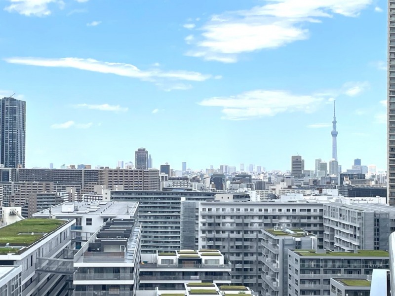 【住戸からの眺望】東京スカイツリーも遠望できます。